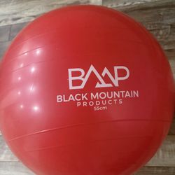Black Mountain Products red exercise stability ball 55cm