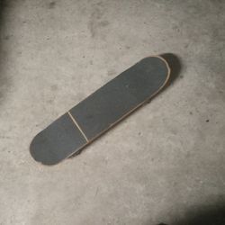 Skatebord