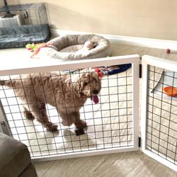 Indoor Modern Pet Gates X PupGates 