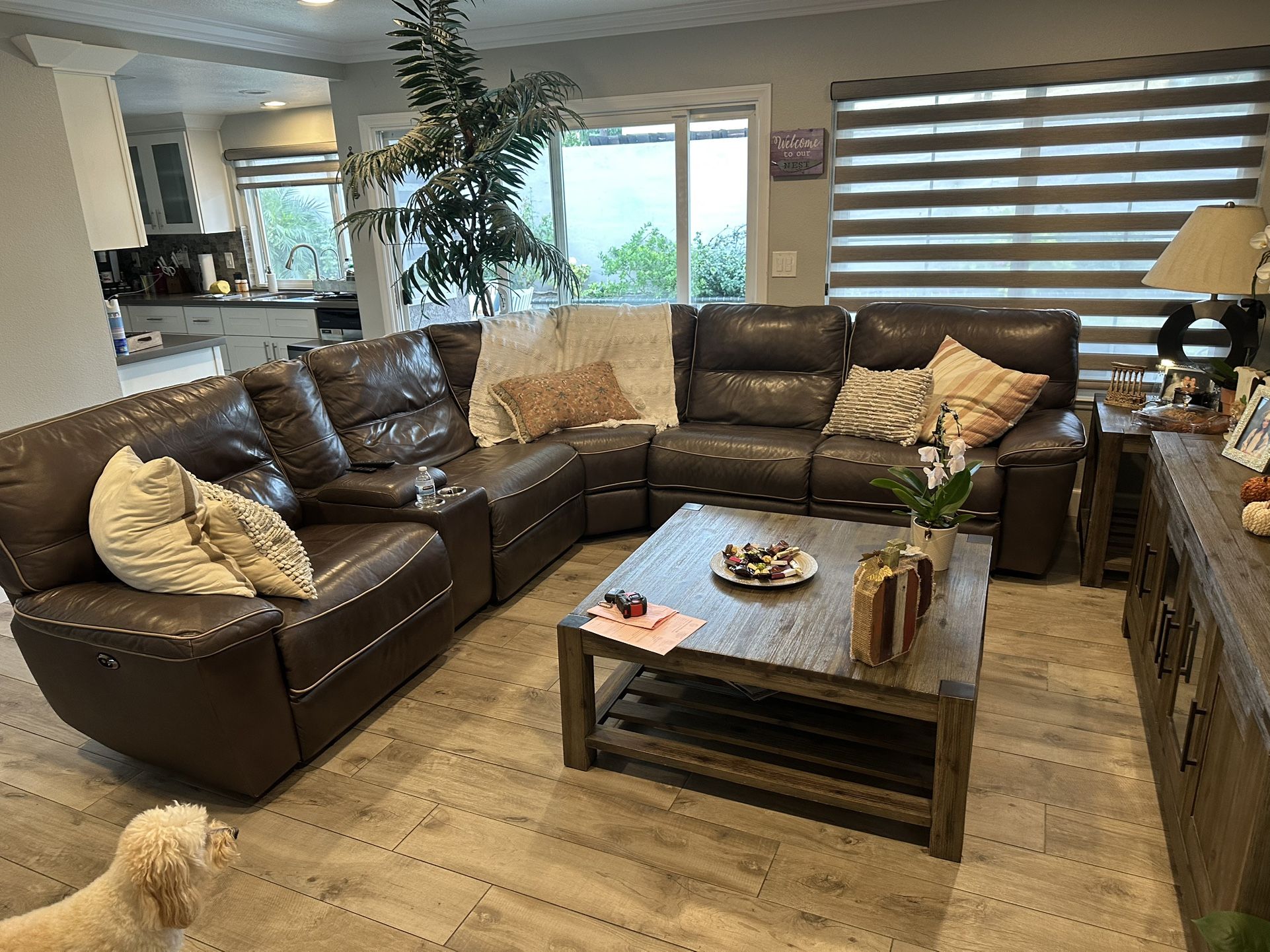 Only Couches And Cushions