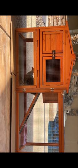 Chicken Coop