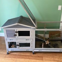 Rabbit/Guinea Pig Hutch 
