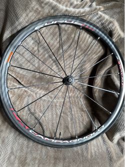 Campagnolo Eurus Wheelset