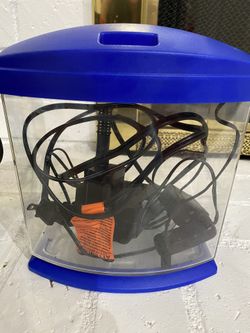 Aquarium with black orhid betta fish