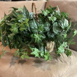🌿 Large Artificial Ivy in Woven Basket
