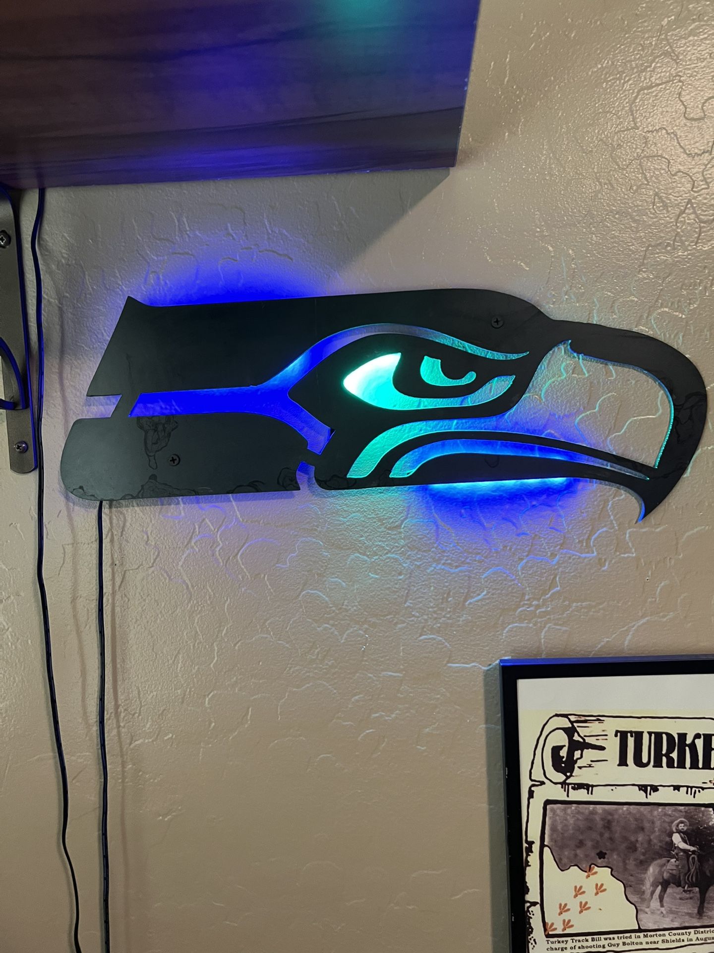 Seattle Seahawks Lighted wall Art