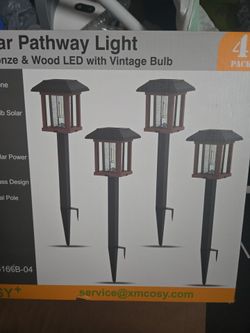 Solar Pathway Light (4)