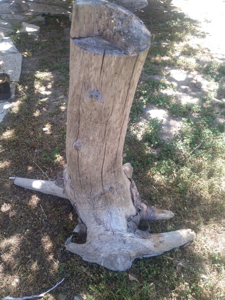 Natural Driftwood Tree Stump
