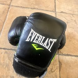 Great Condition Everlast Boxing Gloves Only Used 4 Times! Sacrifice At This Price 
