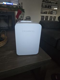 Cosmetic Cooler Refrigerator 