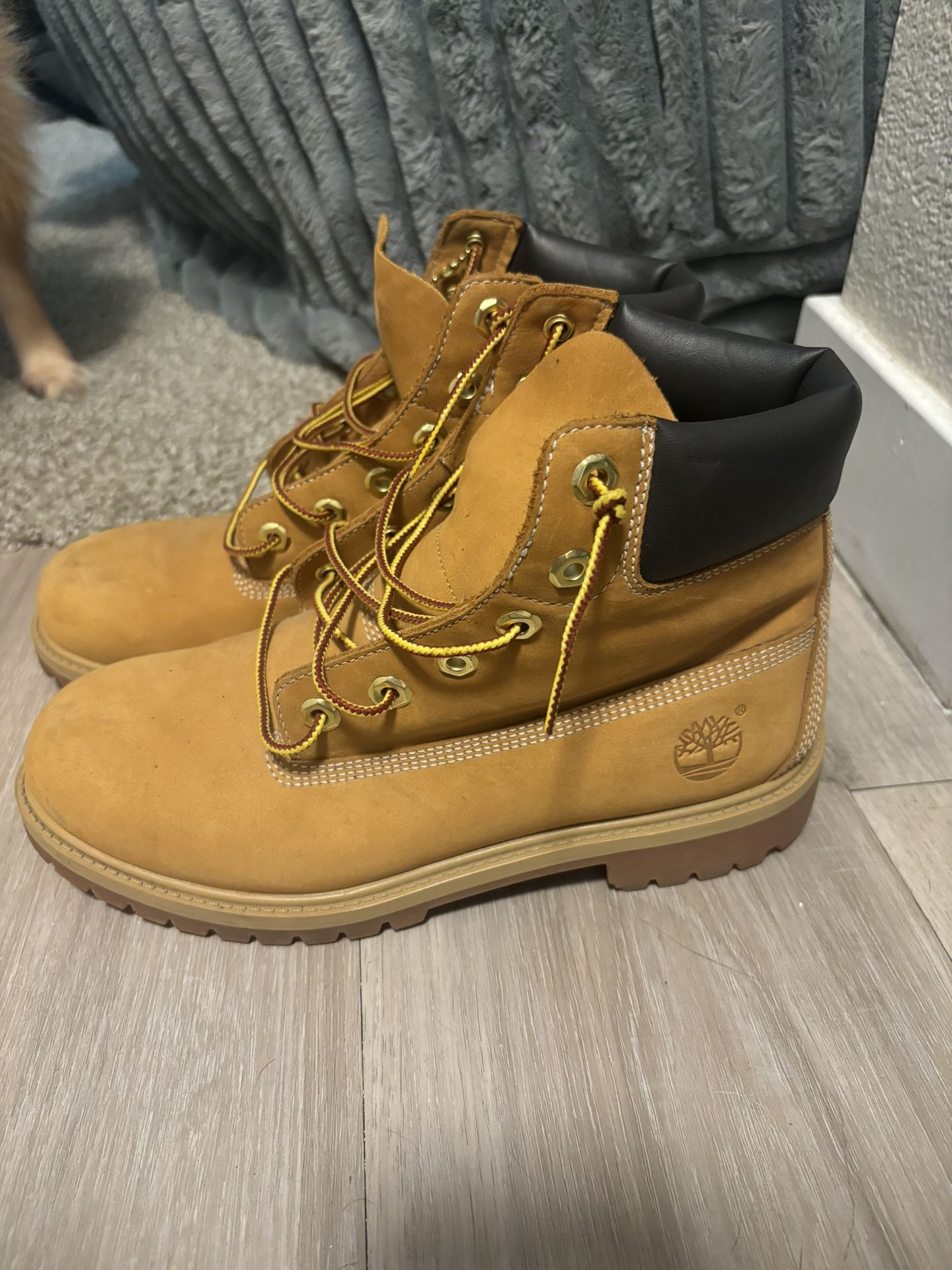Timberlands 6.5