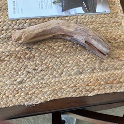 Driftwood-Pacific coast