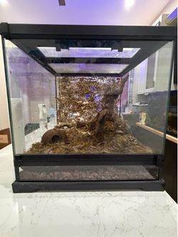 Bio active reptile tank