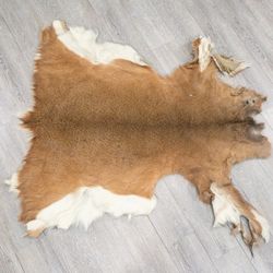 Deer Hides Wanted