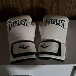 Boxing Gloves 