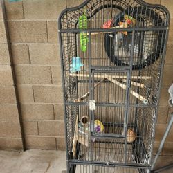 Bird Cage
