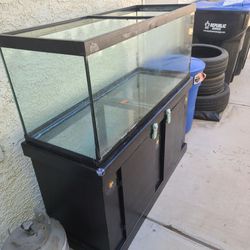 Aquarium  Fish tank 75g