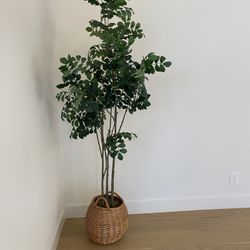 Artificial Plant For Decoration 