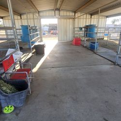 Stall And Horse Feeder AM/ PM
