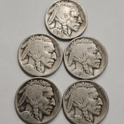 Antique Buffalo Nickel Coins Set  1920,1924,1925,1927-D,1929-S