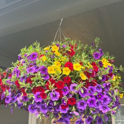 New hanging baskets Huge