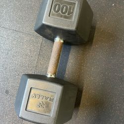 100# Dumbbell 