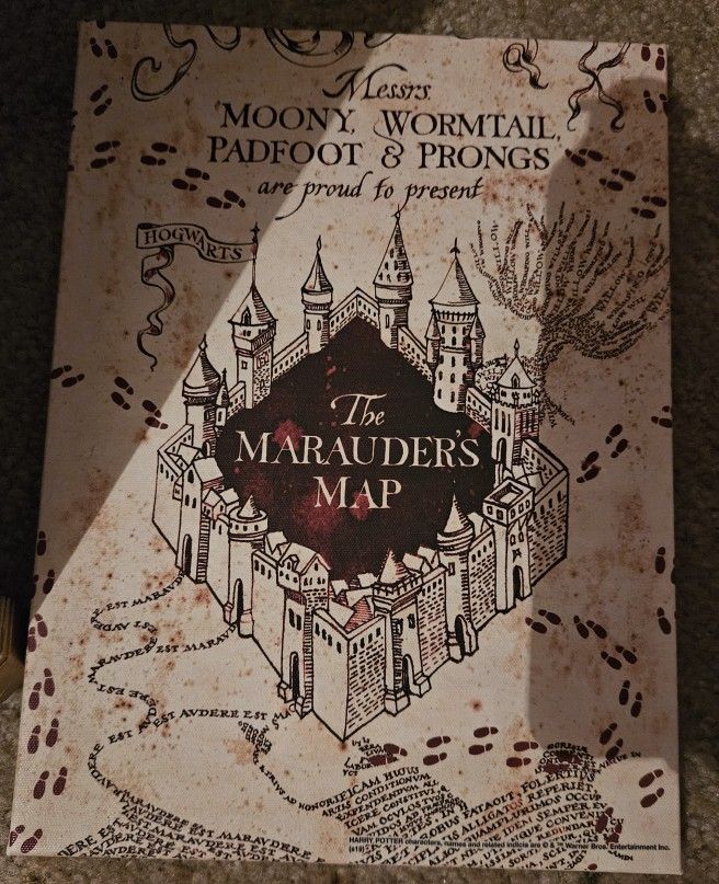 Harry Potter Mini Canvas And Mirror