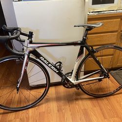 Raleigh carbon bike frame21”