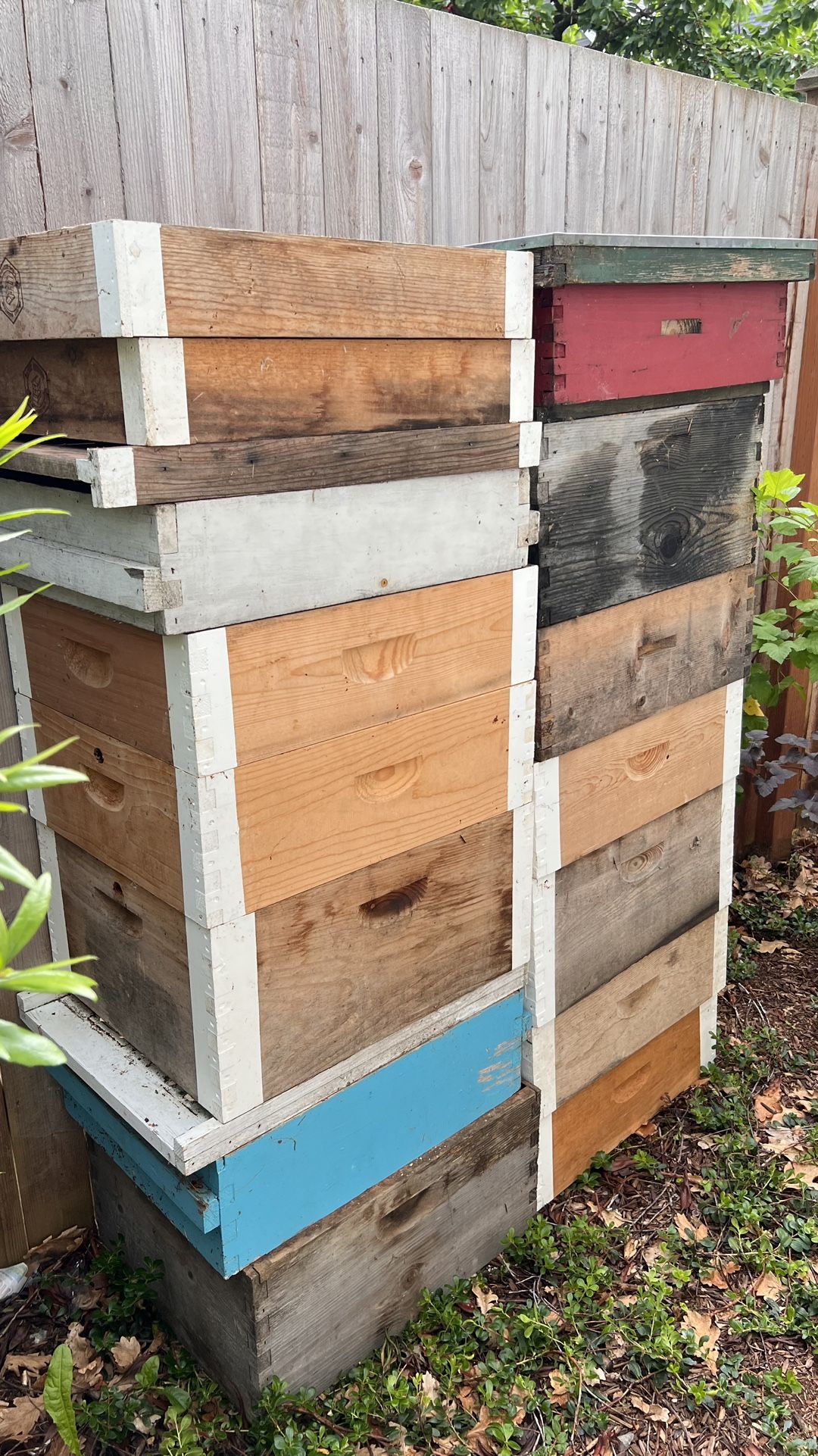 Bee Hive Equipment