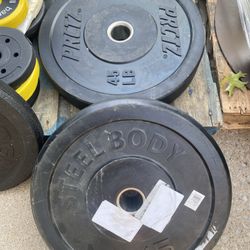 45lb Olympic Bumper Plate Pair