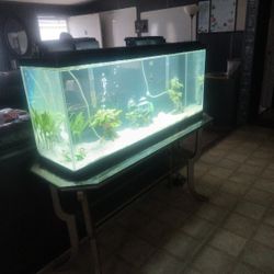55 Gallon  Everything You See In The Picture You Get 
