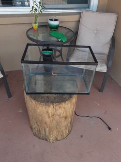 10 gallon tank w/ filter and light