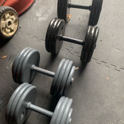65-75 Pounds Dumbbells 