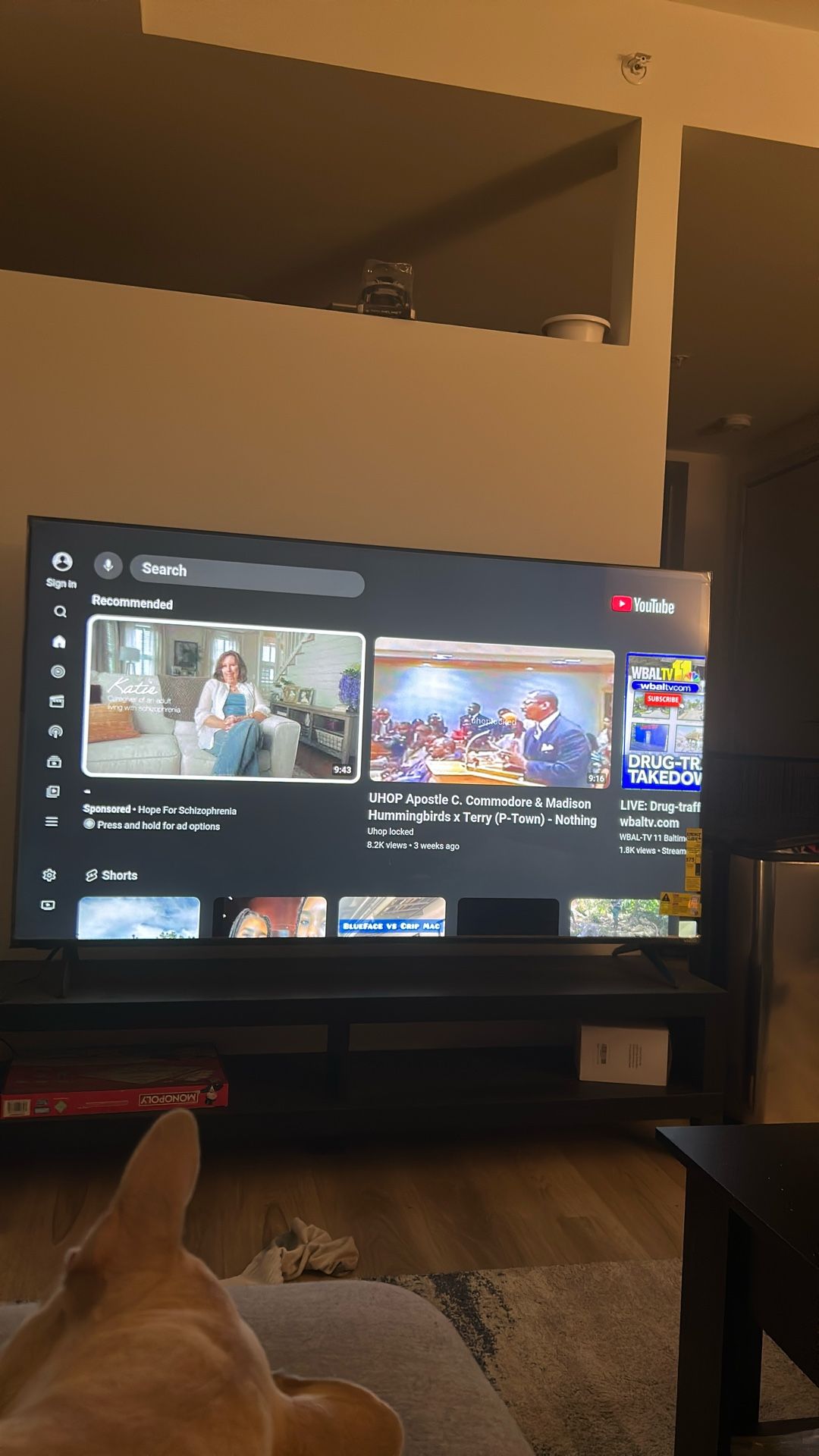 Vizio 70 inch