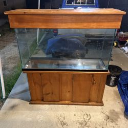Aquarium For Sale 
