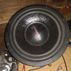 15 In American Bass Xfl