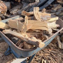 Precut Firewood 