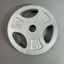  10 pound weight plate single
