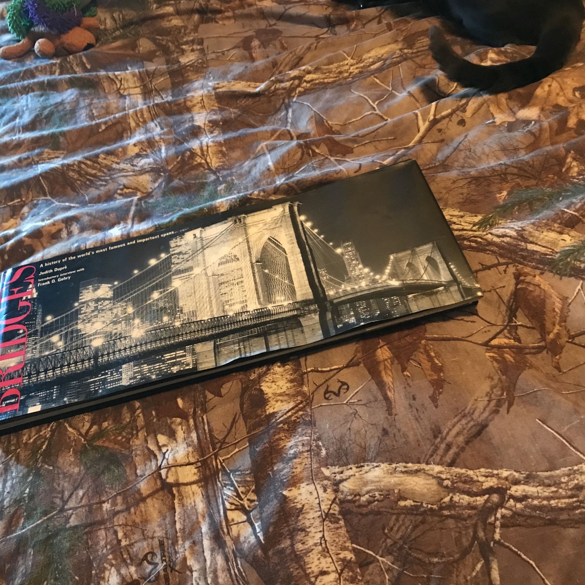 Nice Book On Bridges