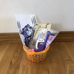 Cat Lovers Basket (orange)