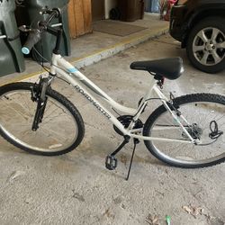 Boy  And Girl Bike 