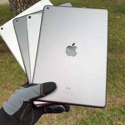 iPads 5 / 6 / 8 / Pro