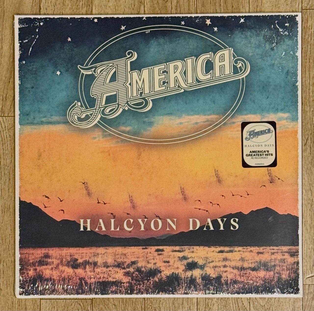 America Vinyl Record - Greatest Hits - New Sealed for Sale in Burien ...