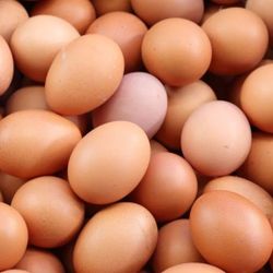 Eggs 