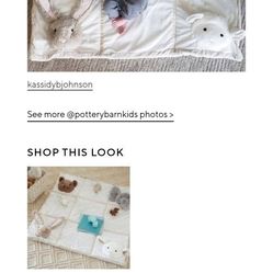 Pottery Barn Baby Plush Play Mat