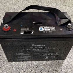 Renogy 12V 100Ah Lithium Iron Phosphate Battery w/ Bluetooth LiFePO4