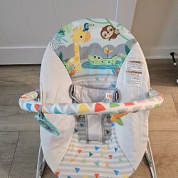Fisher Price Vibrating Bouncer In Great Condition 