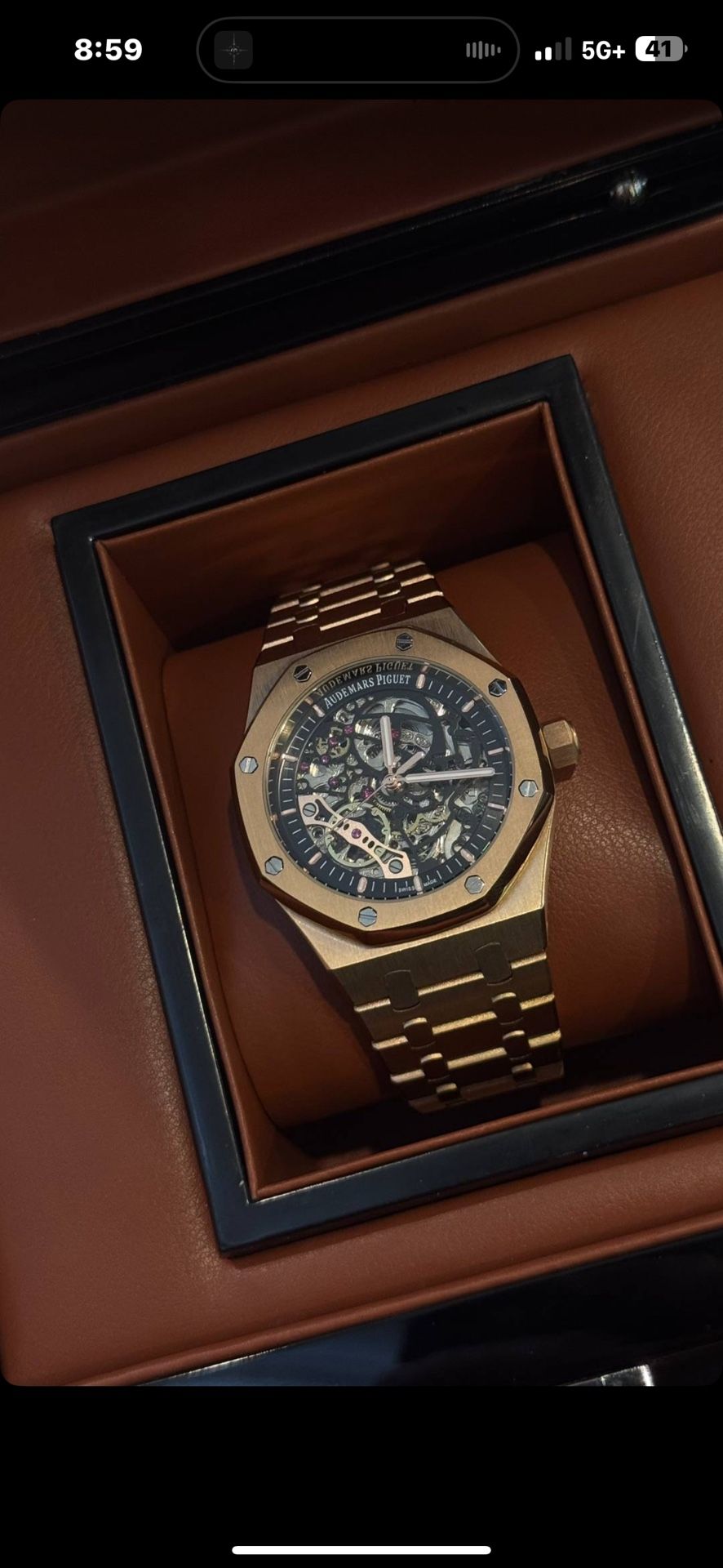 AP Skeleton 15407