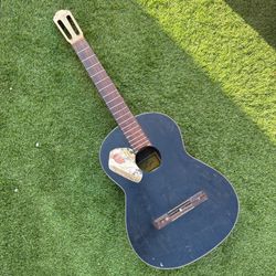 Acoustic Guitar MIJ 