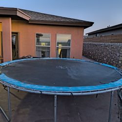 Trampoline 